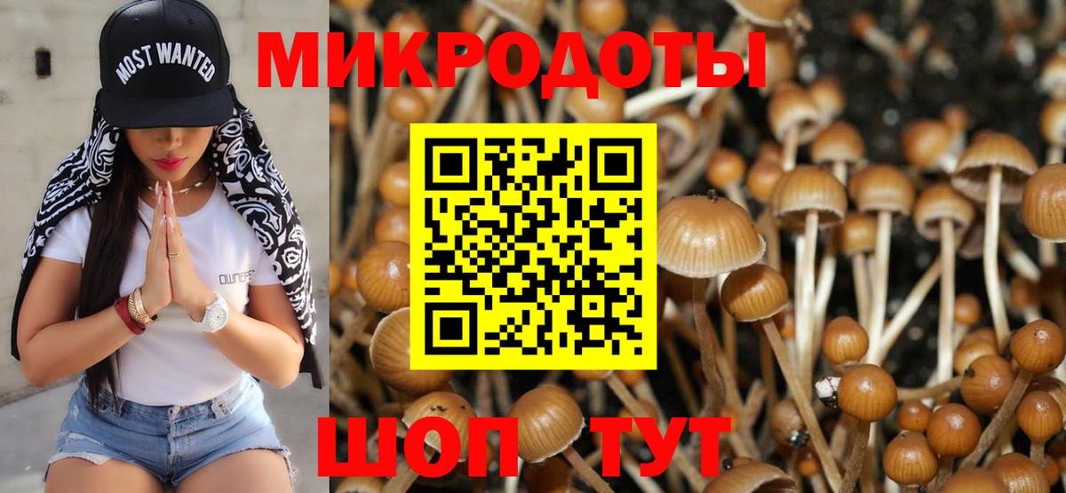 Дивногорск  Галлюциногенные грибы прущие грибы  Галлюциногенные грибы Cubensis  Вход с VPN 